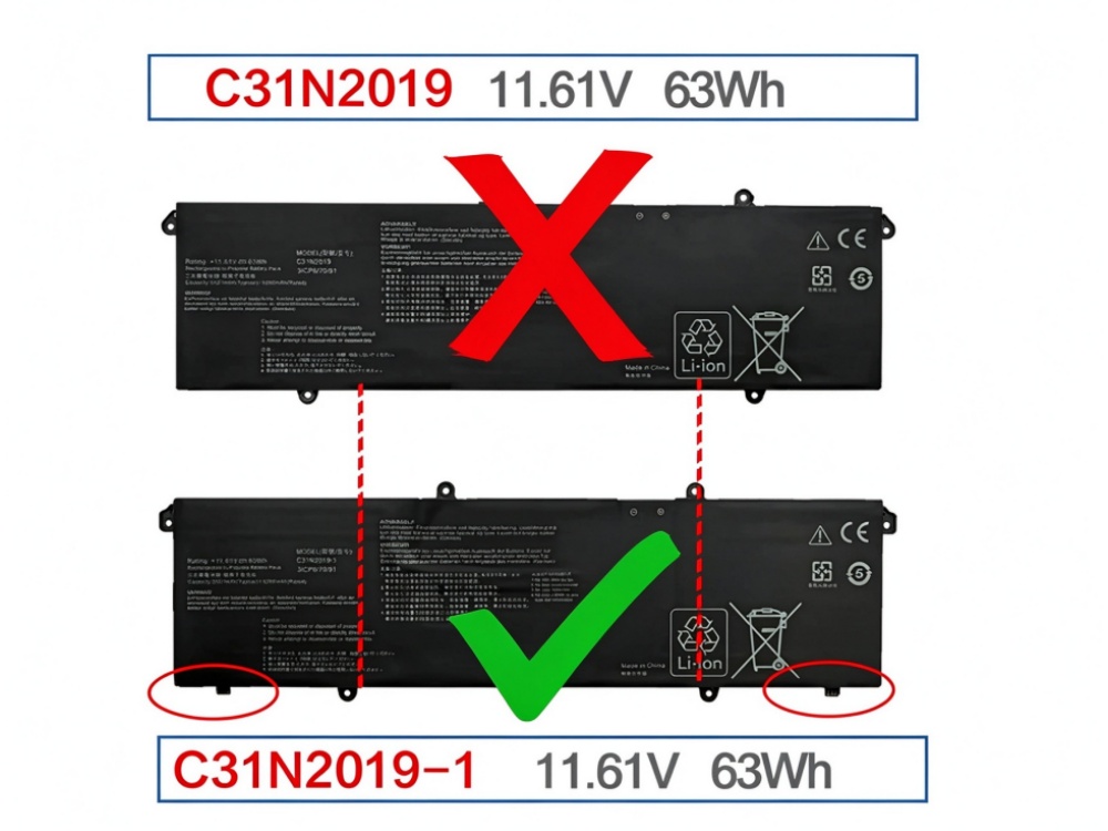 C31N2019-1
